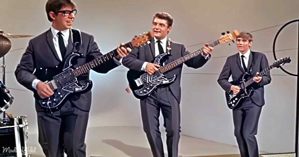 The Honeycombs