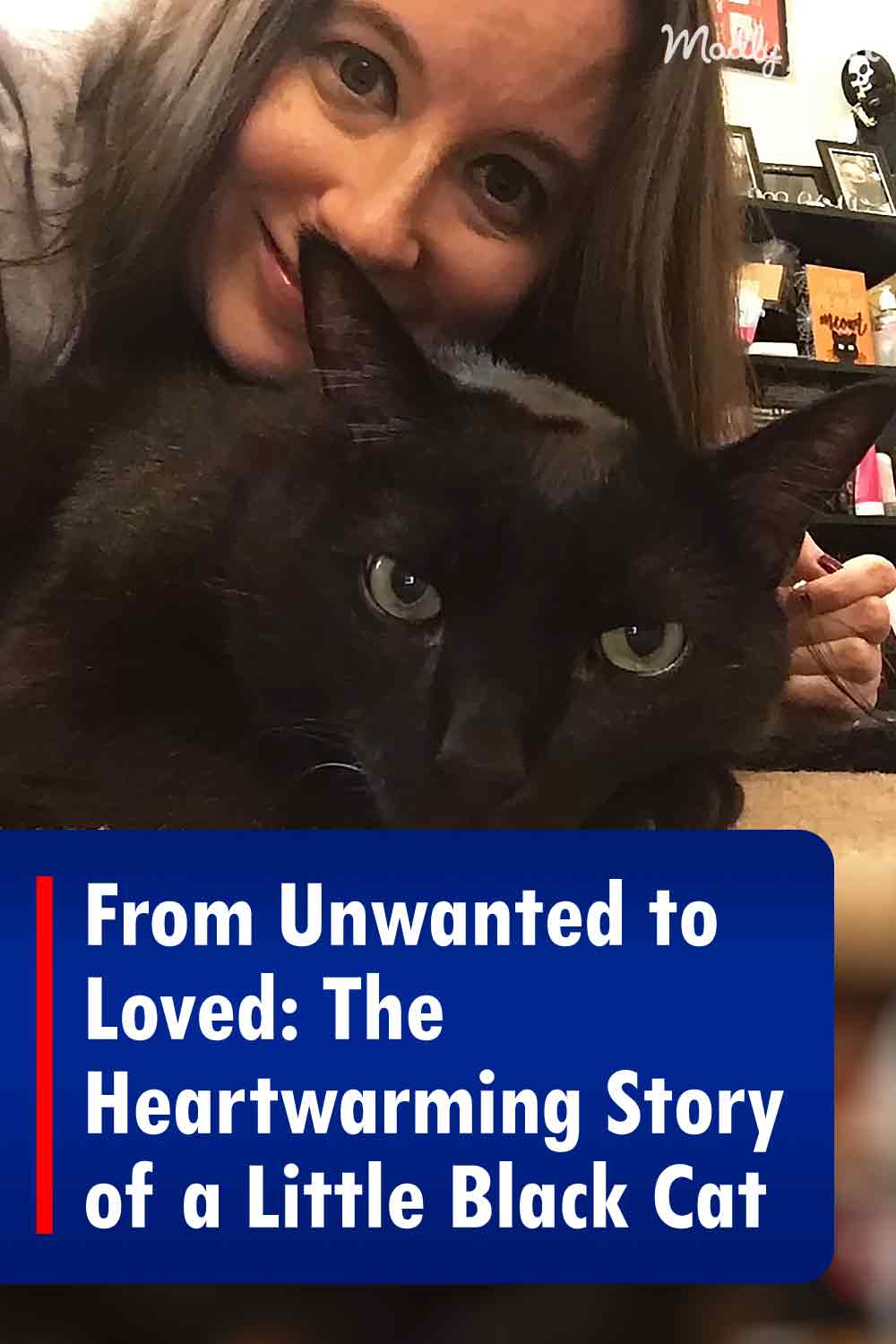 From Unwanted to Loved: The Heartwarming Story of a Little Black Cat