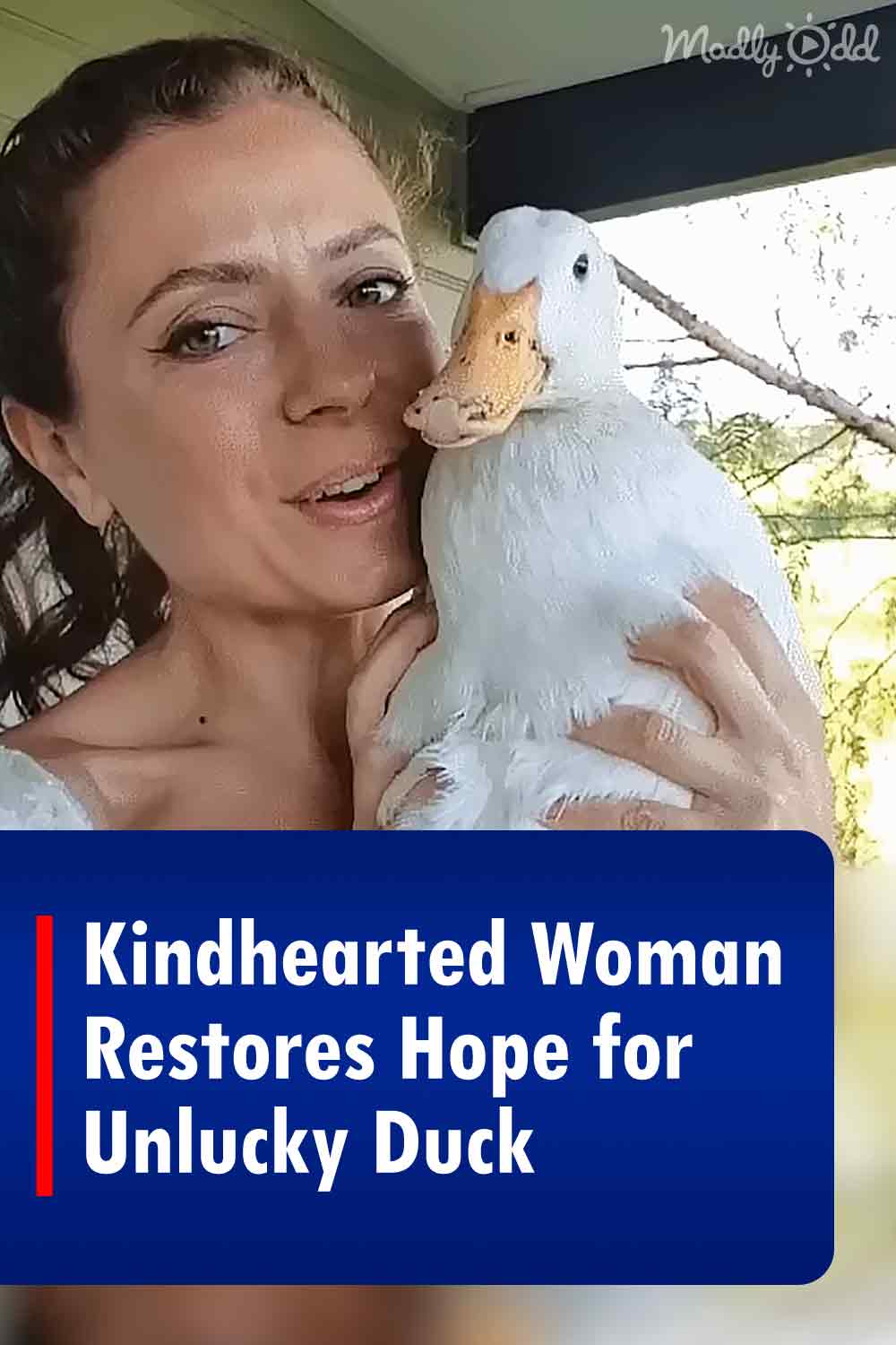 Kindhearted Woman Restores Hope for Unlucky Duck