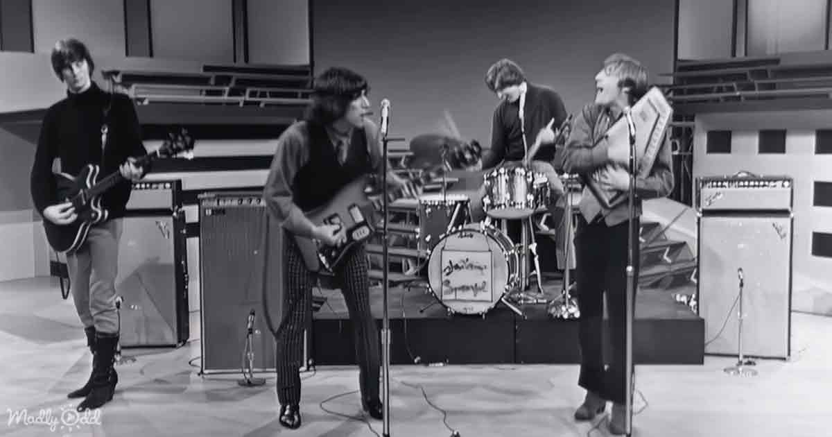 Lovin' Spoonful 'You Didn't Have to Be So Nice' song cover