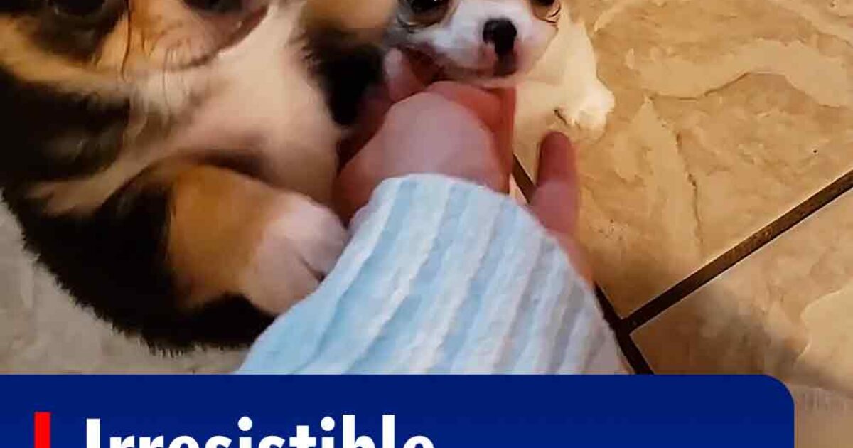 Pinterest Hidden Image