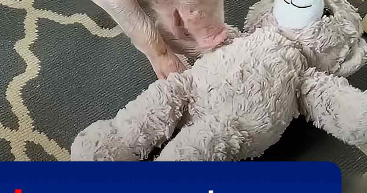 Pinterest Hidden Image