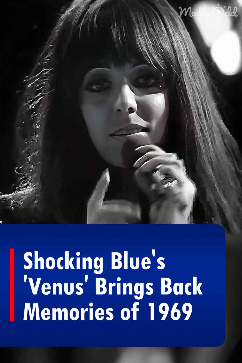 Shocking Blue\'s \'Venus\' Brings Back Memories of 1969