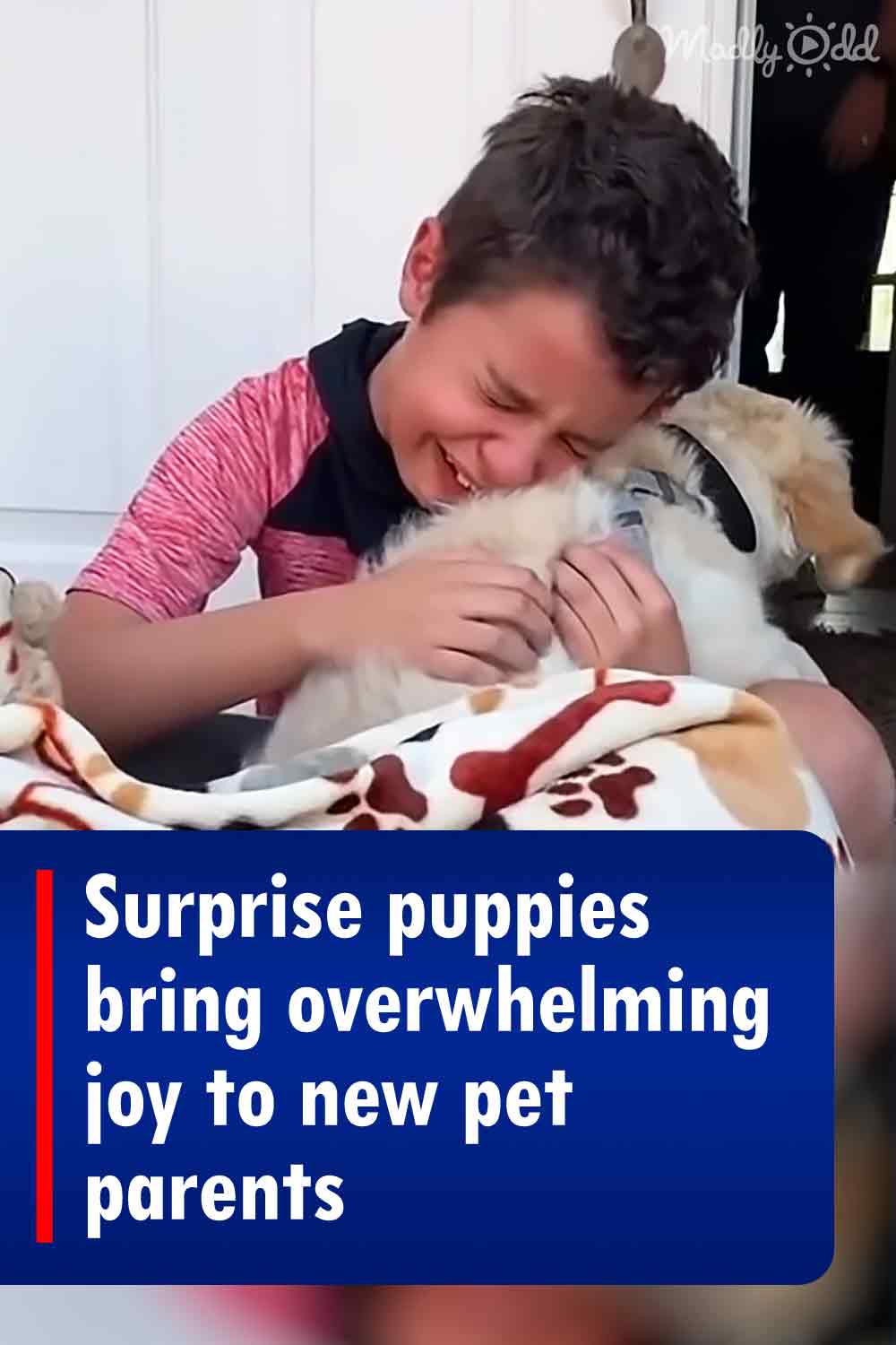 Surprise puppies bring overwhelming joy to new pet parents
