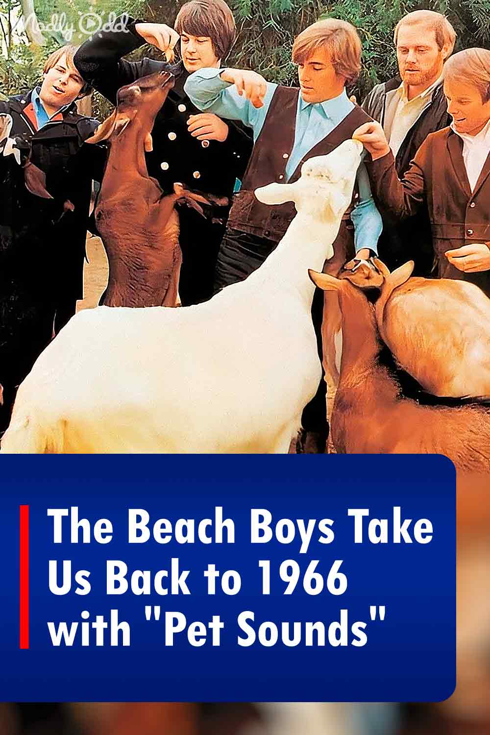The Beach Boys Take Us Back to 1966 with \