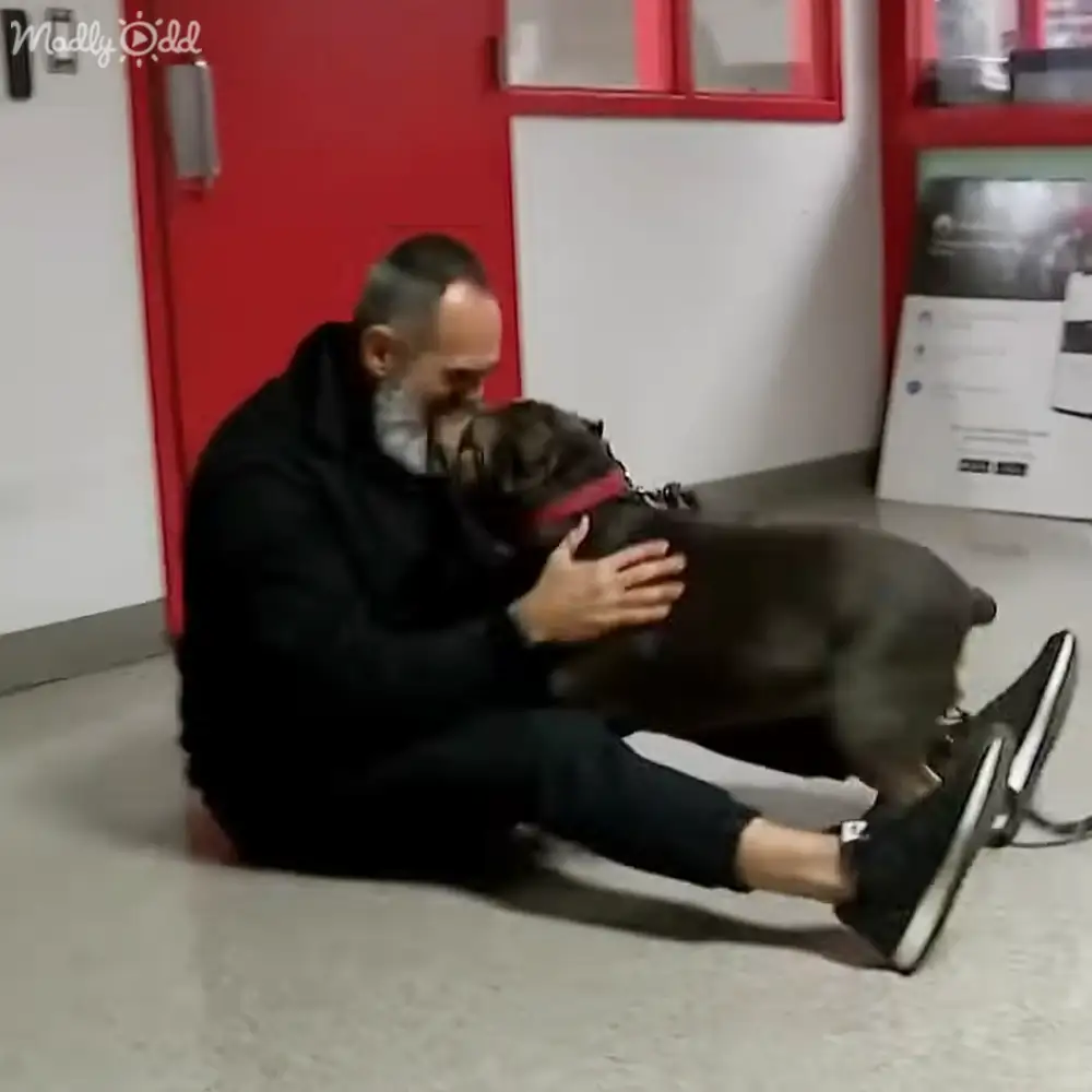 Man and his rescued service dog