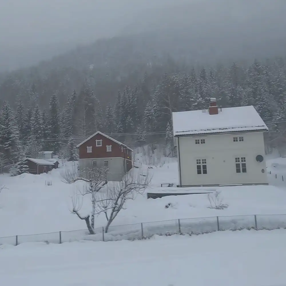 Discover the winter wonderland through the train window.