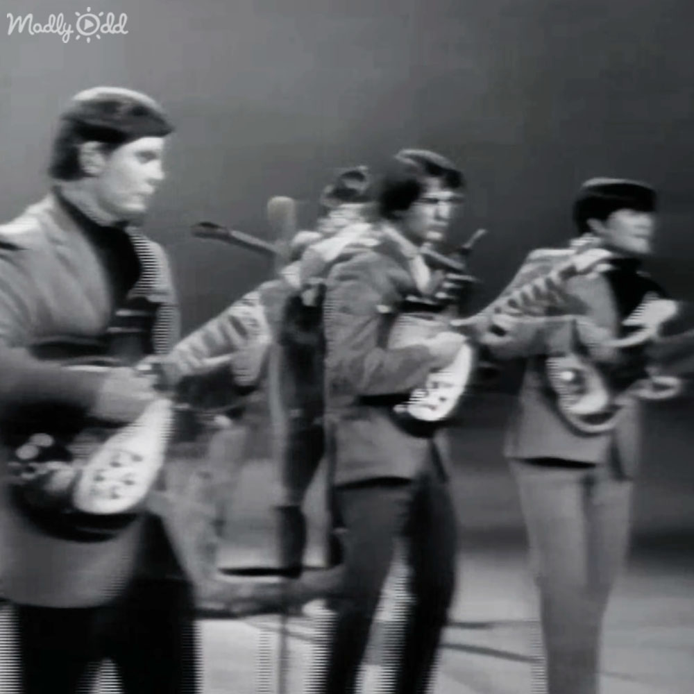 Close-up of The Turtles singing