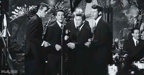 The Dovells on a brightly lit stage, energetically performing 'Bristol Stomp' with dancers in 1960s attire.