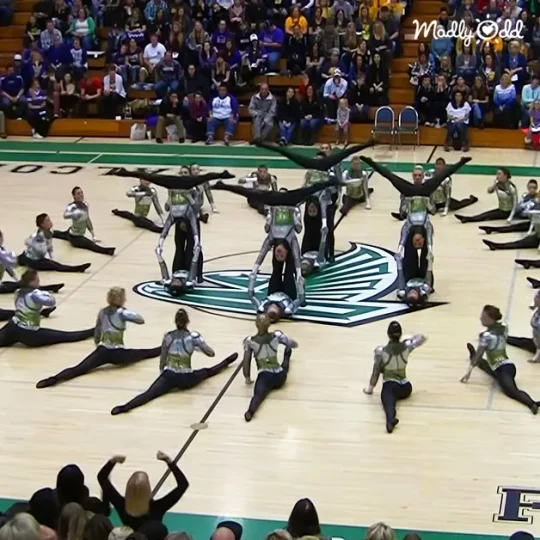 School drill team executes precise routine, members in sync, spectators in awe.