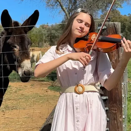 Weeping donkey reacts emotionally to violin serenade, eyes tearing up, head bowed.
