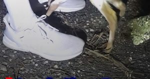 Pinterest Hidden Image