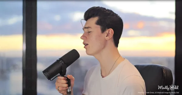 A young man with a perfectly styled 1950s pompadour stands before a vintage microphone