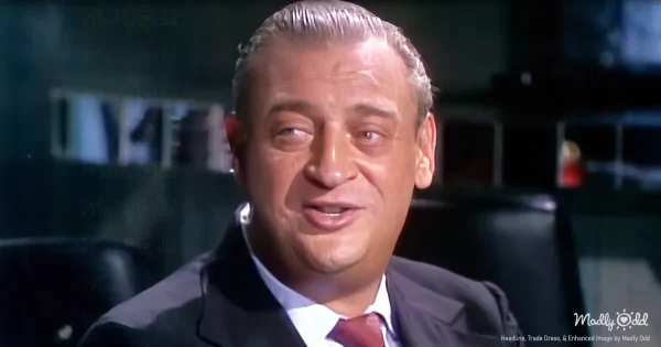 Rodney Dangerfield in a sharp suit
