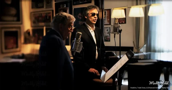 A concert stage bathed in warm